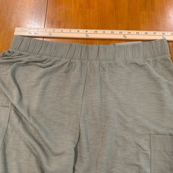Soft Surroundings 2 Piece Lanai Hoodie and Joggers in Bayleaf Size XL NWT - Picture 14 of 16
